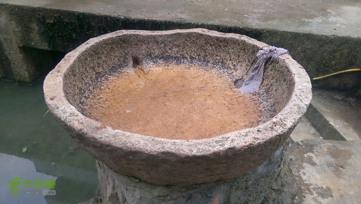 下石坑古道IMAG0607