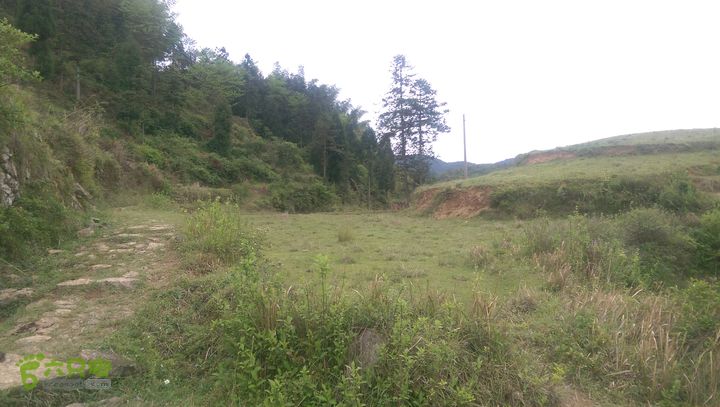 下石坑古道IMAG0567