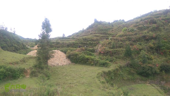 下石坑古道IMAG0568