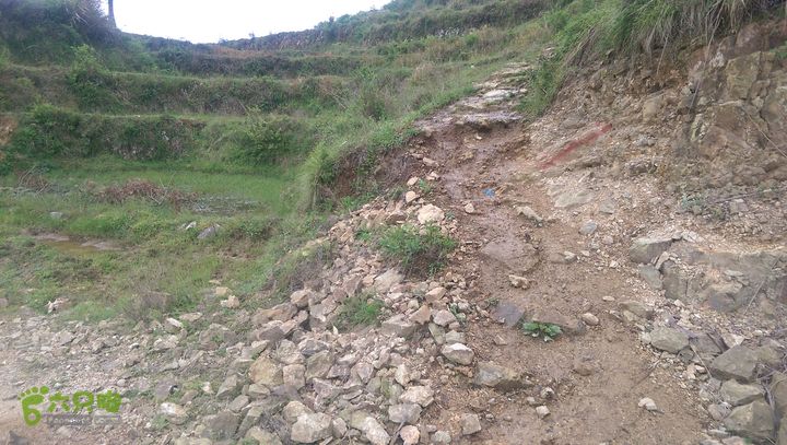 下石坑古道IMAG0569