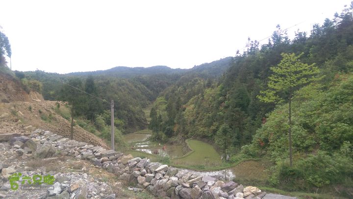 下石坑古道IMAG0572