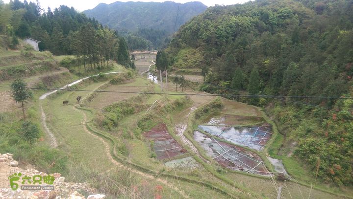 下石坑古道IMAG0573