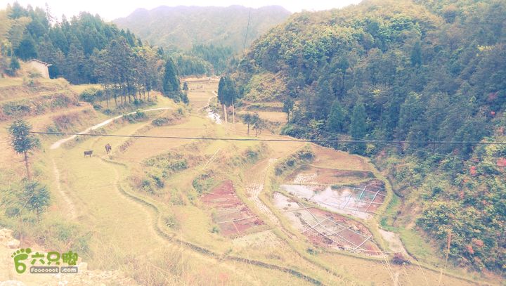 下石坑古道IMAG0574