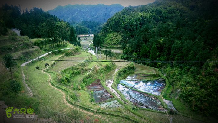 下石坑古道IMAG0575