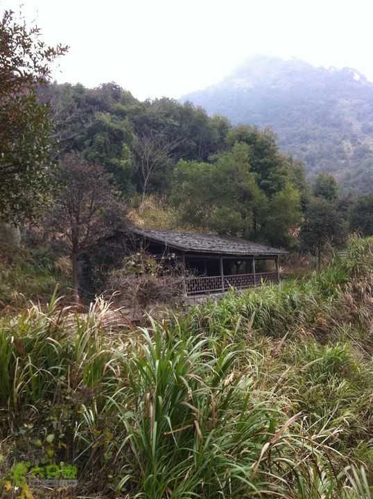 小北岭~大北岭（状元岭）011