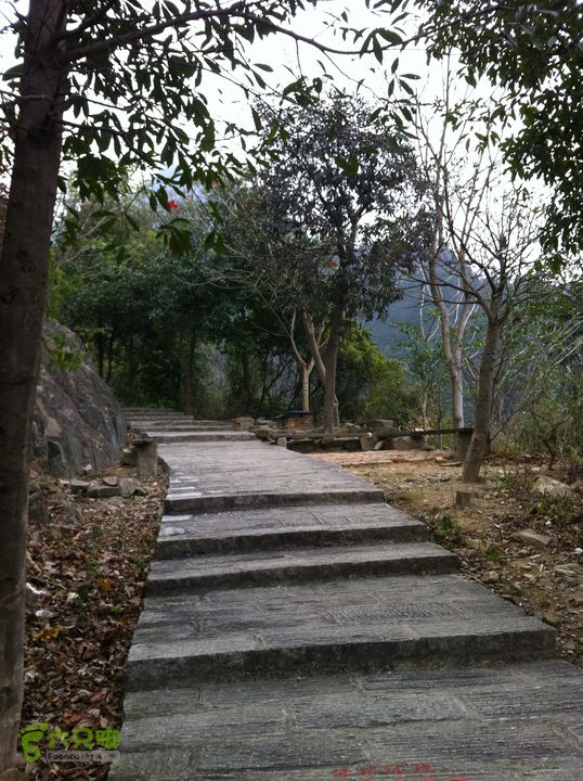 小北岭~大北岭（状元岭）012