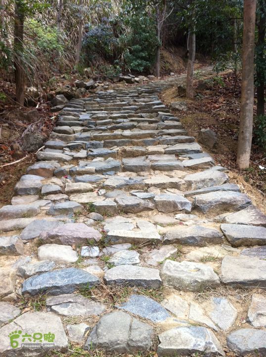 小北岭~大北岭（状元岭）013