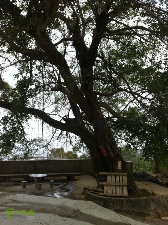 小北岭~大北岭（状元岭）015