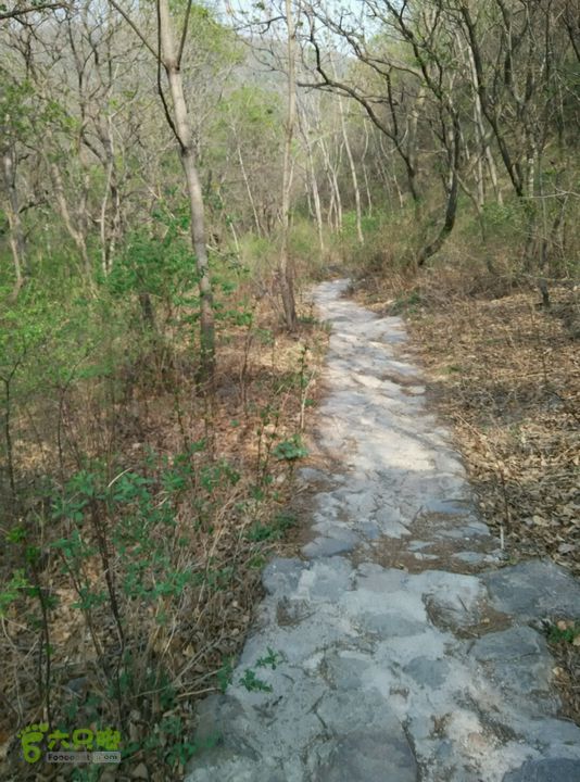下马威—东灵山—达摩古道–洪水口村换我领队了