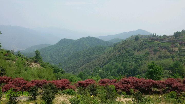 细岭一小岙村一下塘村一密岩2015-05-01 11:49:54