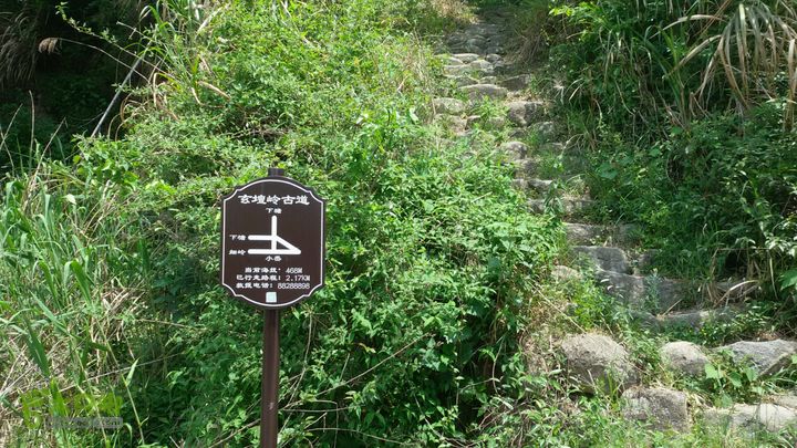 细岭一小岙村一下塘村一密岩2015-05-01 11:16:50