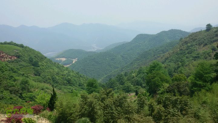 细岭一小岙村一下塘村一密岩2015-05-01 11:52:12