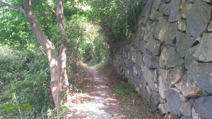 细岭一小岙村一下塘村一密岩2015-05-01 13:36:07