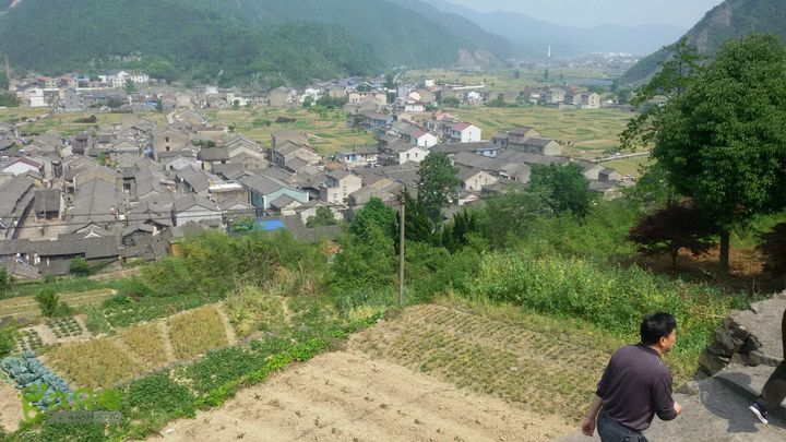 细岭一小岙村一下塘村一密岩2015-05-01 13:55:27