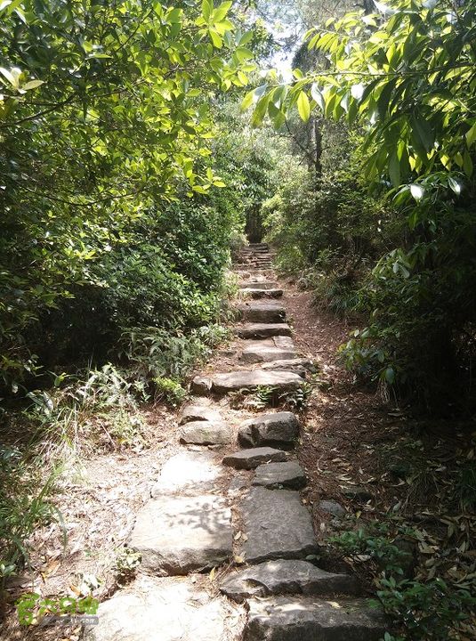 埠兴村－白云洞－兰花圃－十八景－下院2015_0503_132044