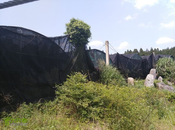 埠兴村－白云洞－兰花圃－十八景－下院2015_0503_134617