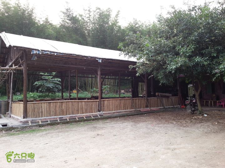  2015广州40公里徒步节点设置三签(30km）：金龙溪瀑布群（禾雀花基地）饭店。