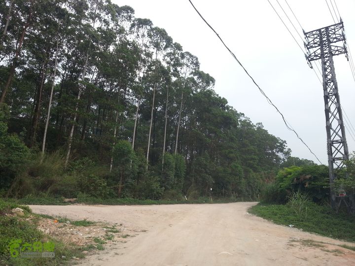  2015广州40公里徒步节点设置第6撤点（36km）：106国道边大沙坪，能通大巴，小车，水泥路。