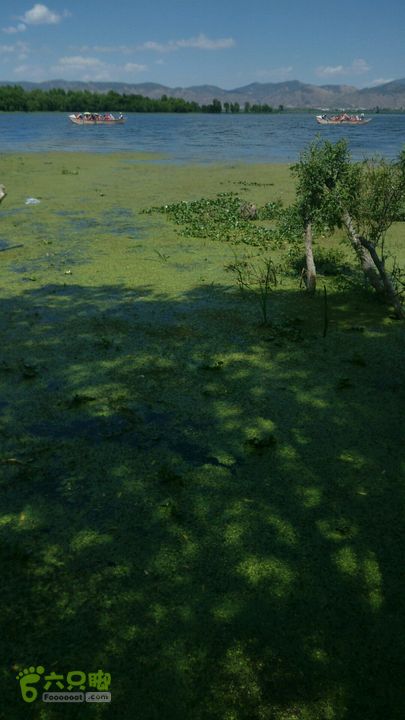 白玛云南行～经大理苍山洱海至沙溪古镇2015-04-30 14:35:58