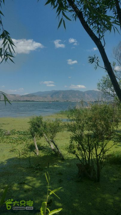 白玛云南行～经大理苍山洱海至沙溪古镇2015-04-30 14:37:07