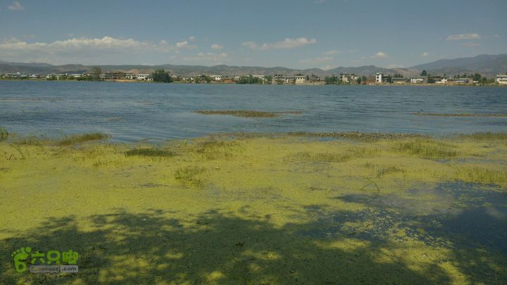 白玛云南行～经大理苍山洱海至沙溪古镇2015-04-30 14:40:26