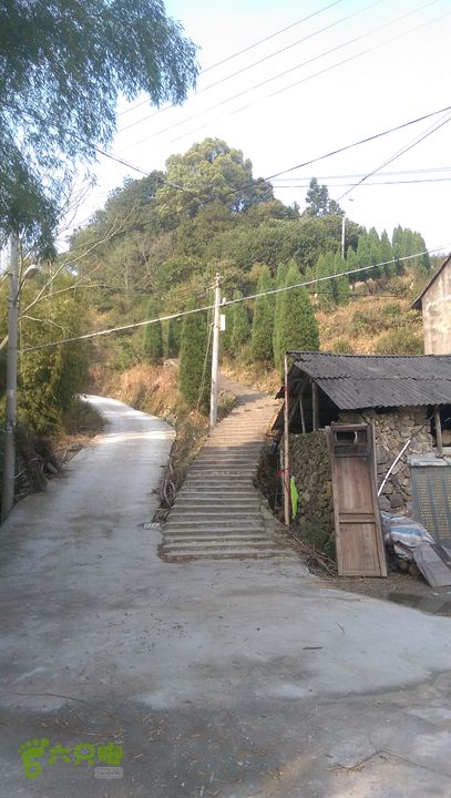 永嘉县桥下镇金加了(垄)村IMAG9666