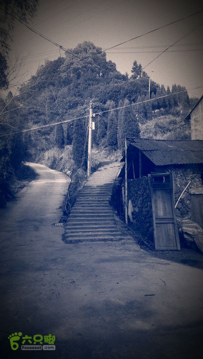 永嘉县桥下镇金加了(垄)村IMAG9667