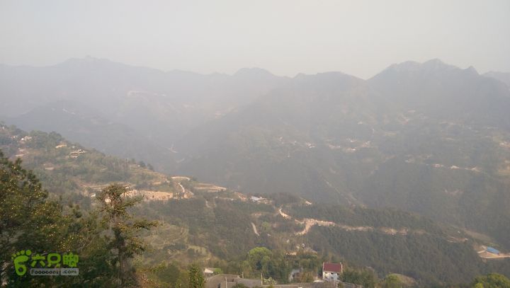 永嘉县桥下镇金加了(垄)村IMAG9670