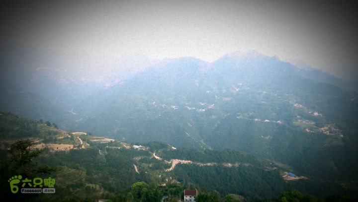 永嘉县桥下镇金加了(垄)村IMAG9672