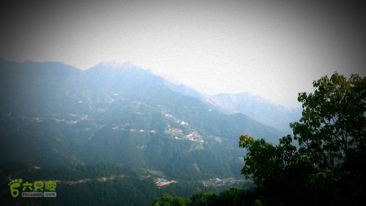 永嘉县桥下镇金加了(垄)村IMAG9673