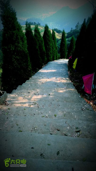 永嘉县桥下镇金加了(垄)村IMAG9674