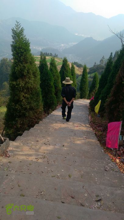 永嘉县桥下镇金加了(垄)村IMAG9675