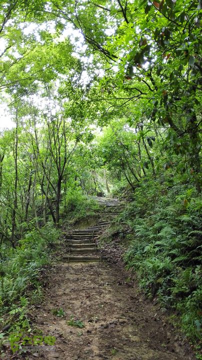 九龙湖香山寺小环线IMG_20150516_142043