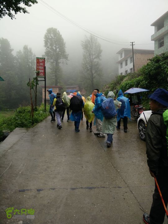 武功山（龙山村-发云界-绝望坡-吊马桩-金顶-下级缆车）8：44，大部队开始上山。下起了小雨，很多人穿上了雨衣