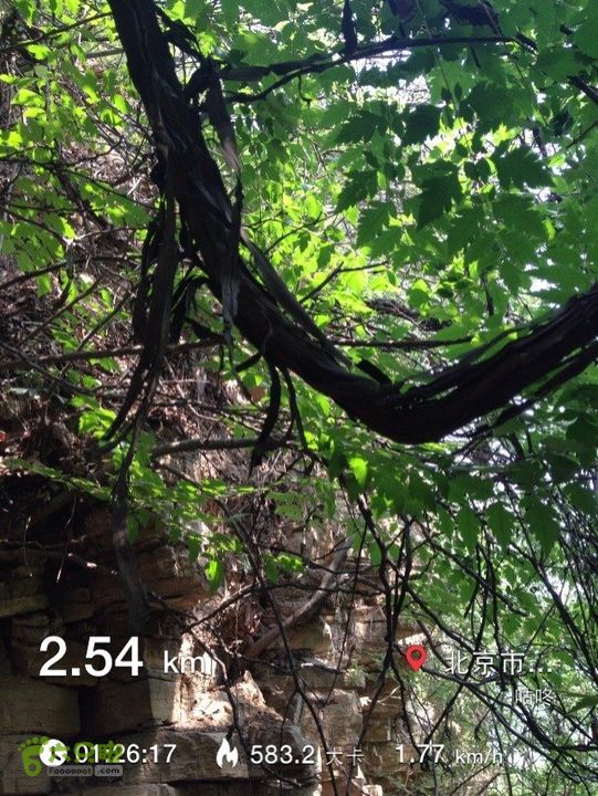 石峨0C9B7D42-0F8C-4C2F-B63E-79F8CF3F