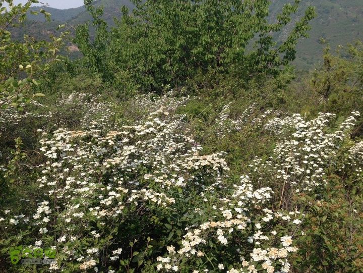 石峨0D21CCB4-A72A-4B3F-9DC4-53495012