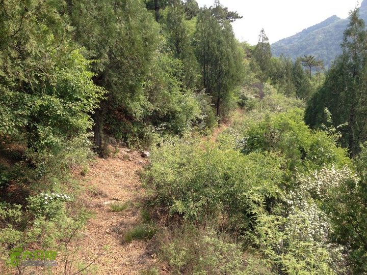 石峨1DDC048A-36D0-427C-8742-C58B8F2D