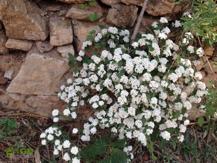 石峨4F9A44BF-5733-4FF7-BEB5-E97835CF