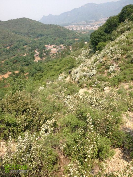 石峨53FED35A-B726-4A6A-B844-EC6D0AE7