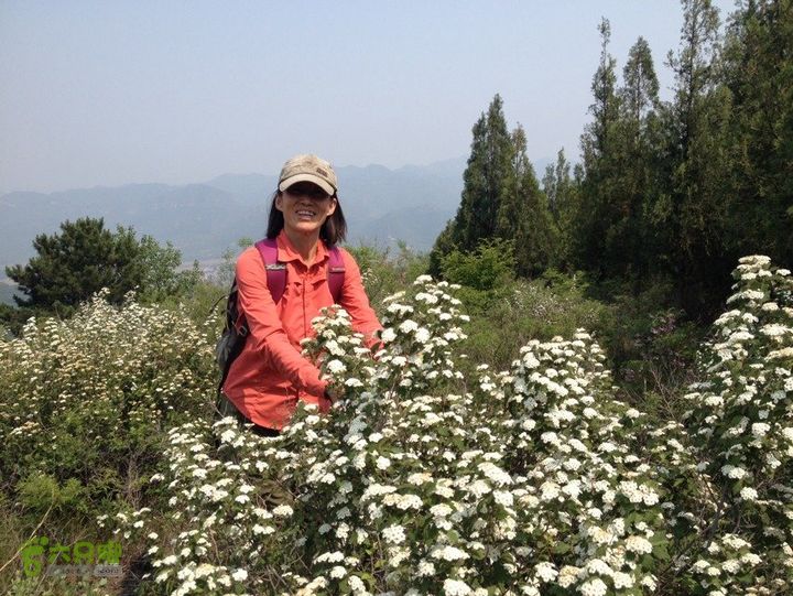 石峨61BBD46A-3874-4BD2-9562-C3671014