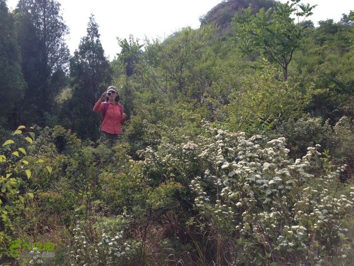 石峨72D1EA36-AFF5-453B-81FF-7DF35FCB