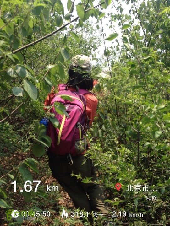 石峨596A01AA-4181-48F2-8268-D13FD882