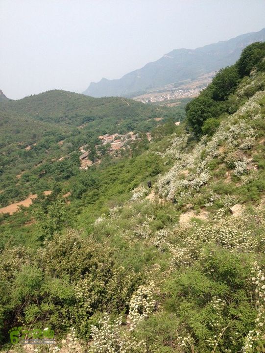 石峨05240CD5-0299-4802-8EC7-1B8F110C