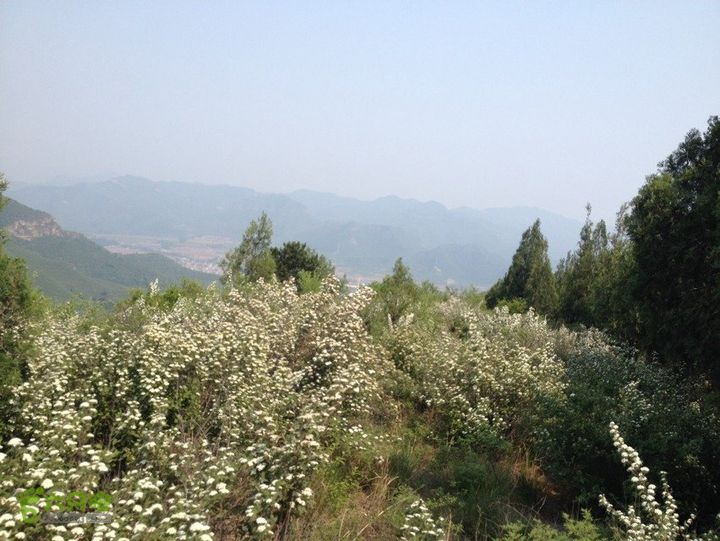 石峨7381F22B-64F5-4F9D-8320-9A6F3C56