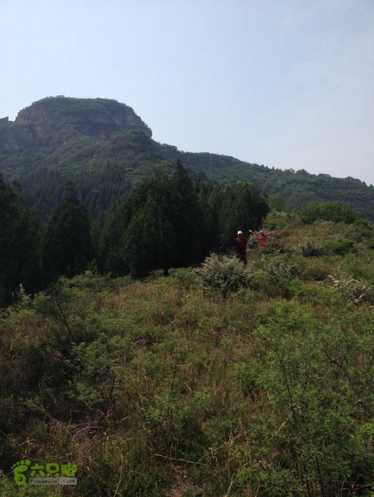 石峨32495714-1A8E-49CA-80D9-8B19B209