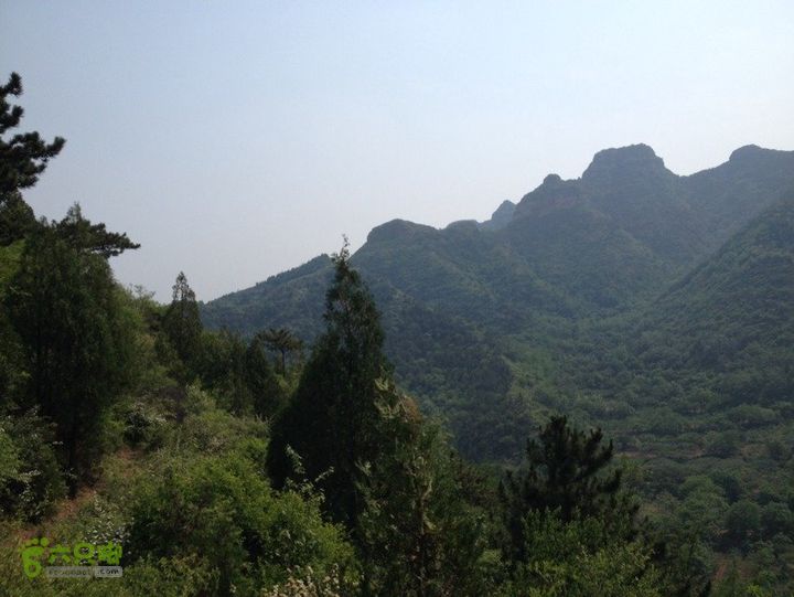 石峨A2AA862D-34B2-402A-B54A-B65A8DD6