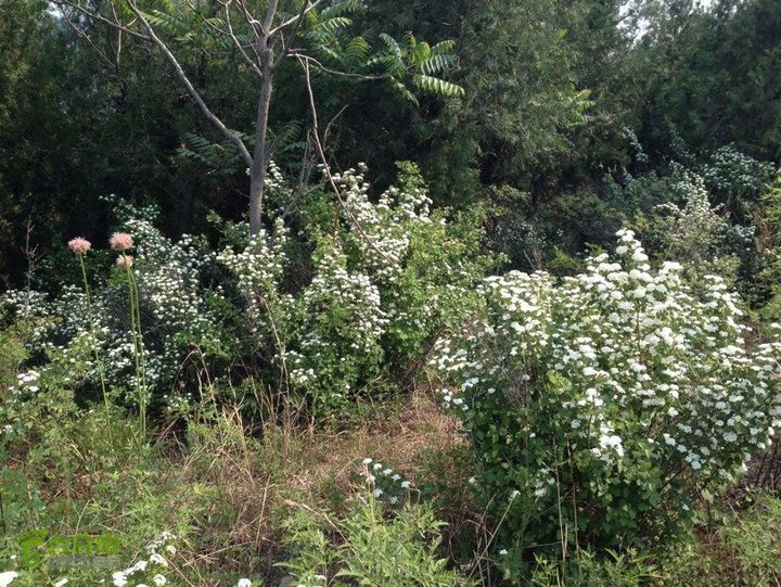 石峨A8402F96-E823-4BFC-A2DF-8F4EF4F8