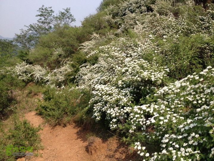 石峨AA79F7BD-13A9-4431-8097-30805073