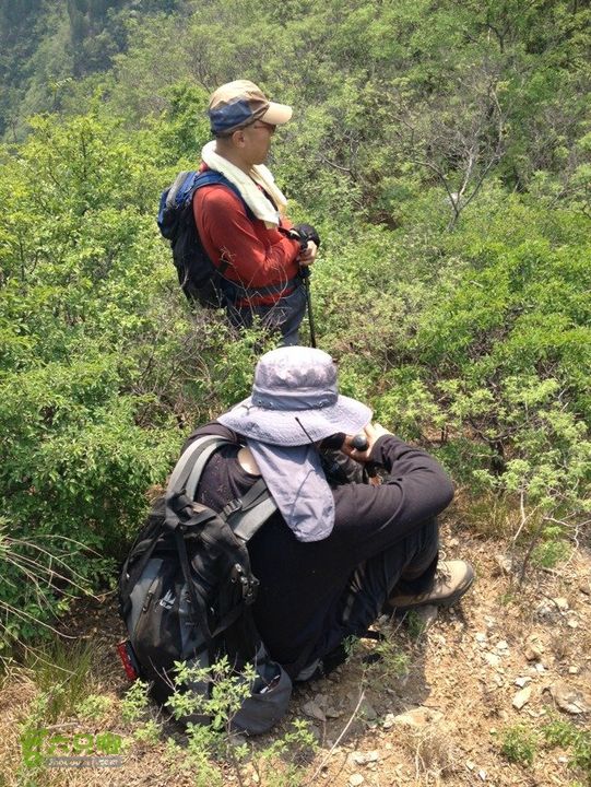 石峨B7C9957E-C8C0-4B44-899A-D3982FAB