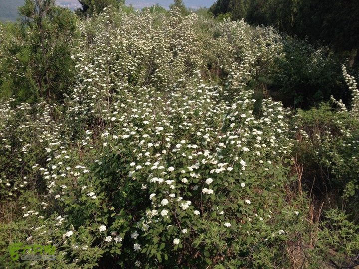 石峨C576048B-8F1A-43D4-9A66-923CB6BC